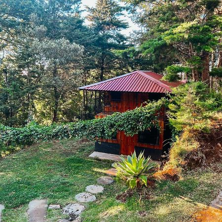 Cabanas Queca! Poas Exteriér fotografie